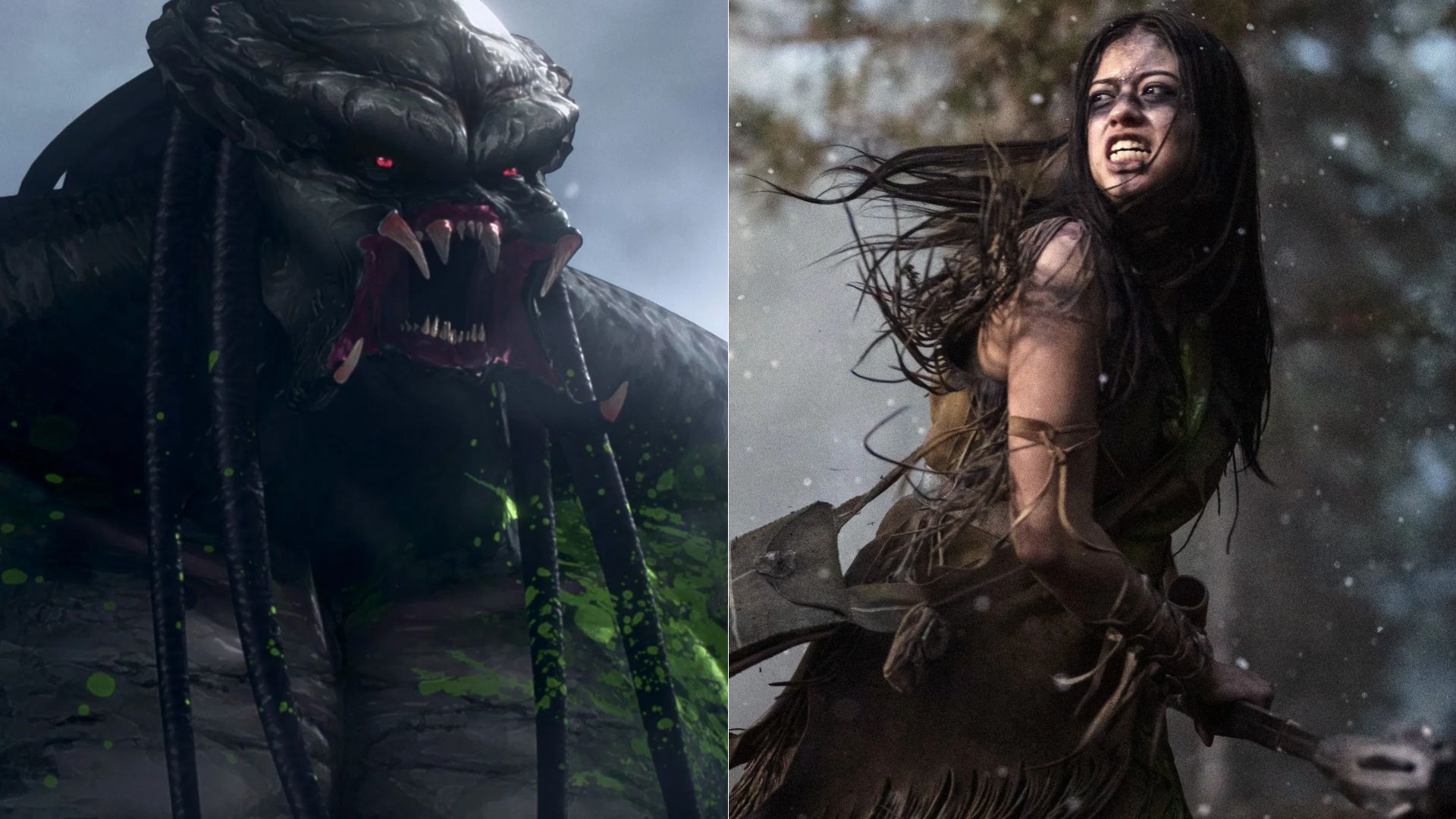 como predador assassino de assassinos se conecta com o predador a cacada